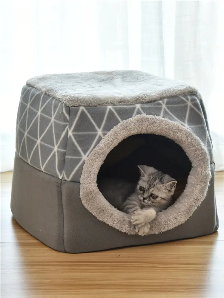 Dual Comfort Pet Capsule