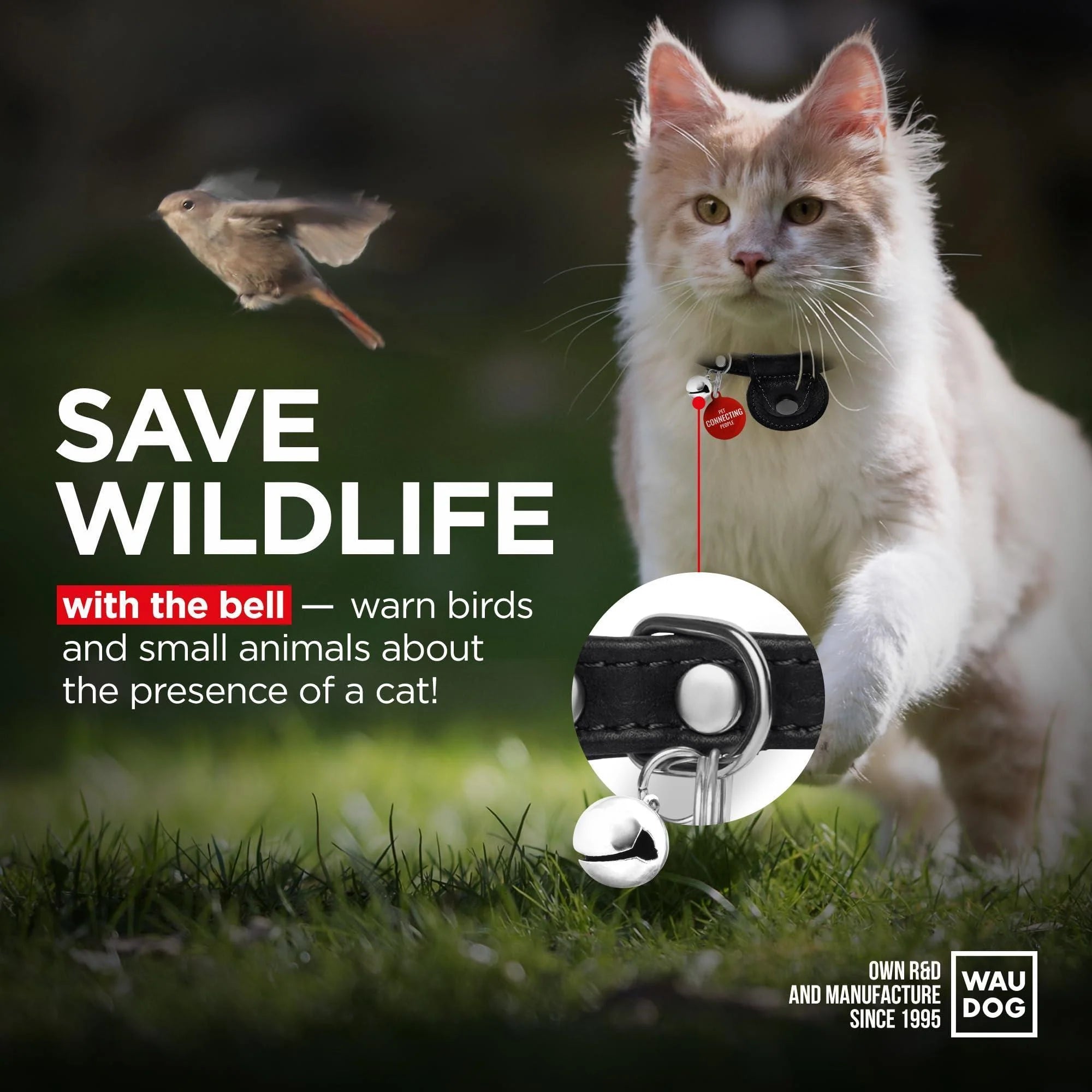 Leather Cat Collar with Airtag Holder Removable Bell for Small Medium and Large Breeds Adjustable Long Lasting Classic Kitten Collars Boy & Girl