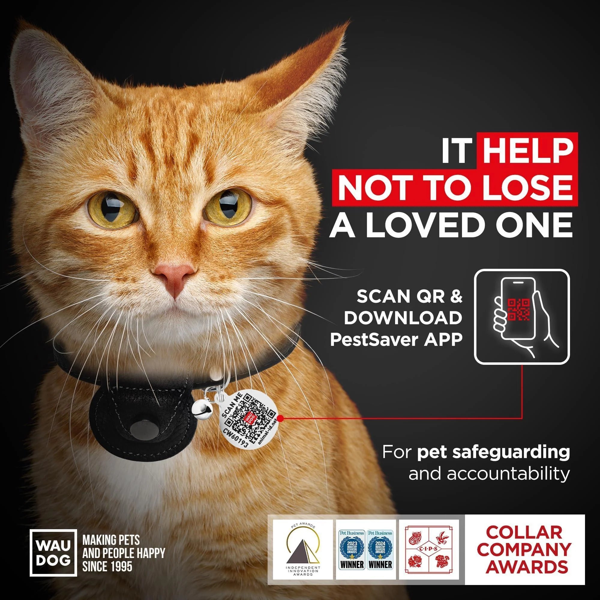 Leather Cat Collar with Airtag Holder Removable Bell for Small Medium and Large Breeds Adjustable Long Lasting Classic Kitten Collars Boy & Girl